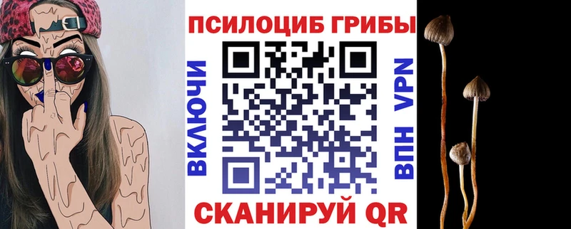 продажа наркотиков Облучье Псилоцибиновые грибы GOLDEN TEACHER