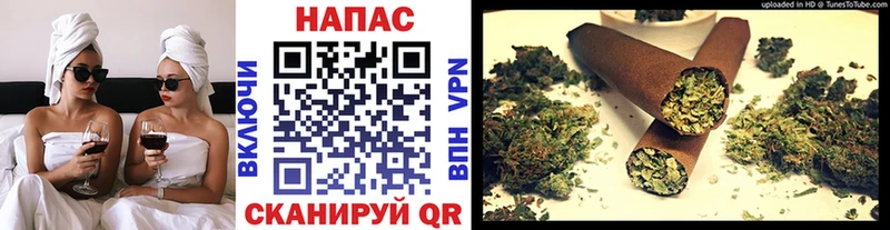 Каннабис сатива  Облучье 